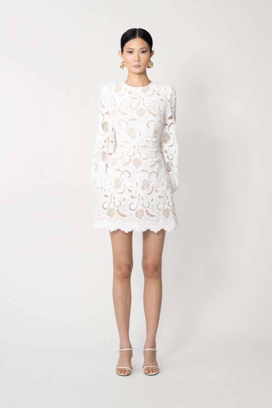 Hilda Embroidered Lace Dress